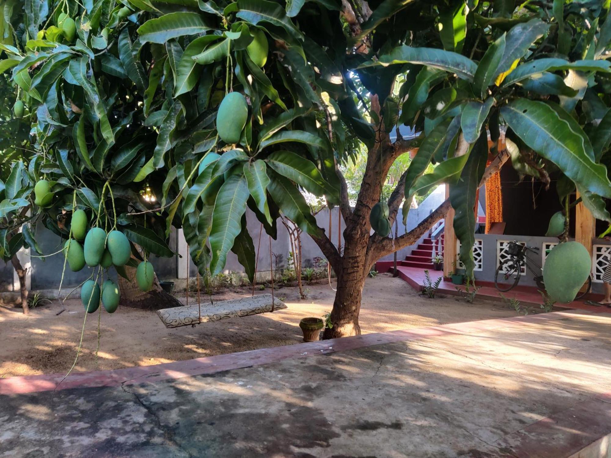 Enoch Guest House Mannar Exterior foto